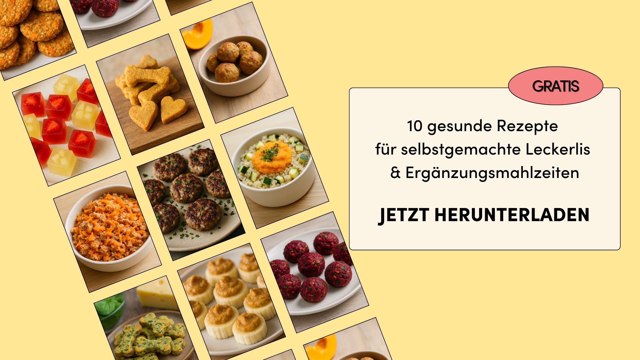 Rezepte für Hunde - Jetzt gratis herunterladen
