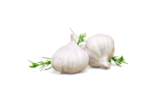 Knoblauch