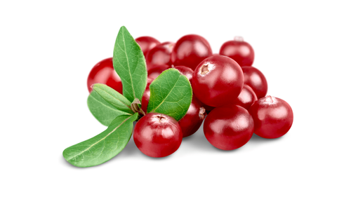 Frische Cranberries