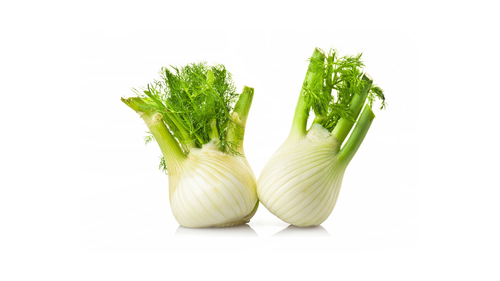 Fenchel