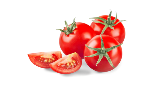 frische Tomaten als Fütter für Hunde vorbereitet